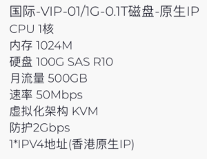 企鹅小屋 香港国际 100G硬盘VPS