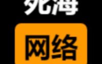 死海网络互联 Logo