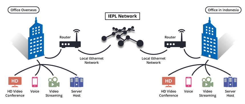 IEPL Network